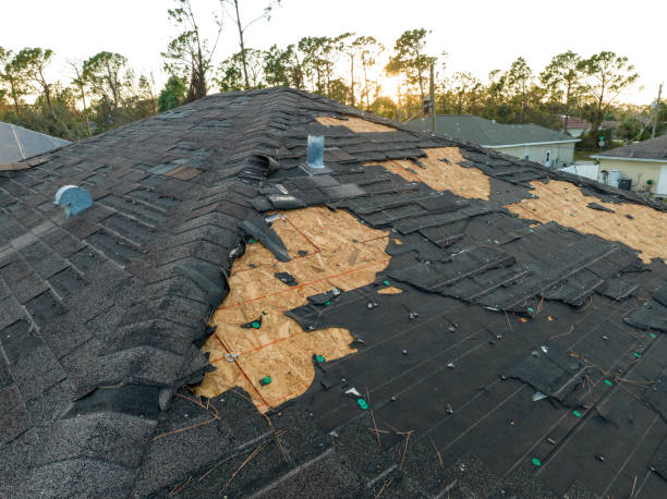 Professional Roofing Services in Whitaker, PA